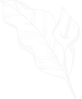 pattern-image